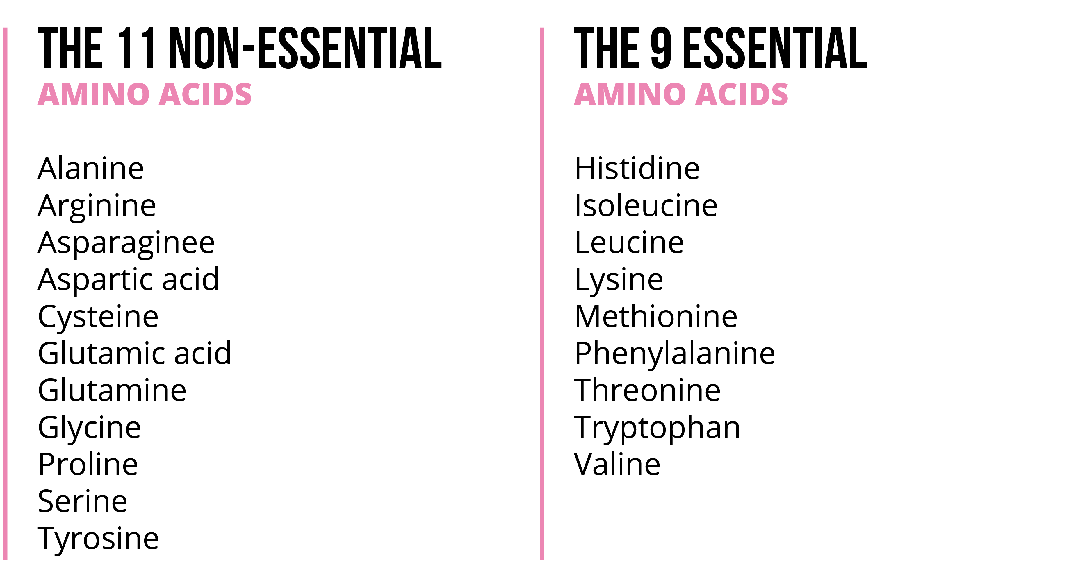 What Are The 11 Non Essential Amino Acids